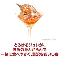 銀のスプーン 三ツ星グルメ ジュレ 15歳頃から まぐろ・かつおにささみ添え 35g 16袋 キャットフード ウェット パウチ