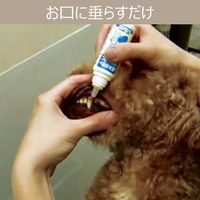 トーラス 食後の歯磨きゼリー 30ml 犬 デンタルケア
