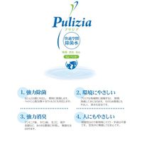 プリジア（Pulizia）快適空間除菌水 スプレータイプ 400ml　FLF