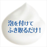 ペットキレイ 除菌できる ふきとりフォーム 国産 本体 250ml 1個 ライオンペット