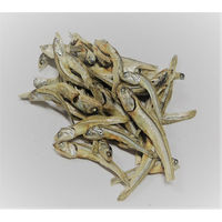 減塩ペットこざかな 犬猫用 100g 国産 3袋 フジサワ