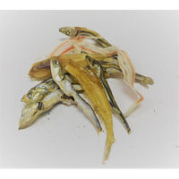 海の幸おさかなミックス 犬猫用 200g 国産 3袋 フジサワ