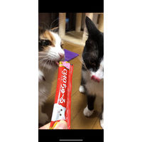 （バラエティパック）いなば CIAO チャオ ちゅーる 猫 まぐろバラエティ 国産（14g×40本）1袋 ちゅ～る チュール キャットフード おやつ