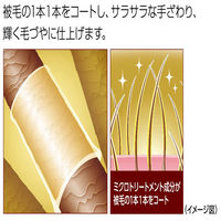 クイック＆リッチ トリートメントインシャンプータオル 愛猫用 20枚入 3個　ライオンペット