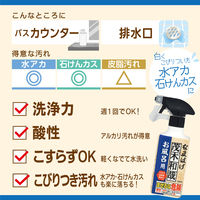 茂木和哉 お風呂用洗剤 なまはげ 掃除 320ml 1個 きれい研究所 (C00251)