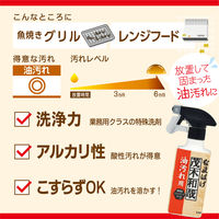 茂木和哉 油汚れ用洗剤 なまはげ 320ml 1個 きれい研究所