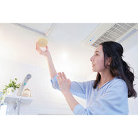 パワーバイオ お風呂のカビきれい 1個 コジット