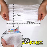 激落ちくん 流せる 除菌 99.9% トイレクリーナー 掃除 1パック（24枚×4個入） レック (S00285)