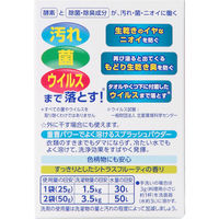 部屋干しトップ除菌EX ワンパック 25g×5袋 1セット（3個） 衣料用ライオン
