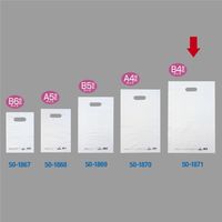 ササガワ カラーポリ 半透明 300×450 B4用 50-1871 1包(50枚入)