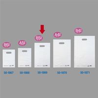 ササガワ カラーポリ 半透明 220×350 B5用 50-1869 1包(50枚袋入)