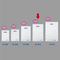 ササガワ カラーポリ 半透明 250×400 A4用 50-1870 1包(50枚袋入)