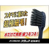 デンタルプロ ブラック 超極細毛コンパクト やわらかめ 4973227218694 1本