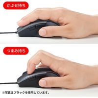 サンワサプライ 静音有線ブルーLEDマウス(5ボタン) MA-BL168R 1個