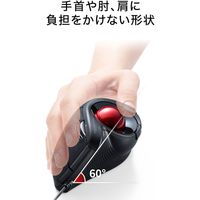 サンワサプライ 有線エルゴトラックボール MA-TB177BK 1個