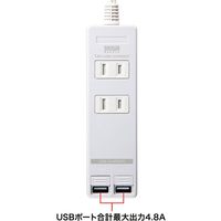 延長コード 電源タップ 3m 2P（ピン） 2個口 シャッター ライトグレー TAP-B110USH-3W サンワサプライ 1本