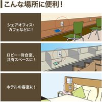 サンワサプライ 埋込USB給電用コンセント (TYPEC搭載) TAP-KJUSB1C1W 1個