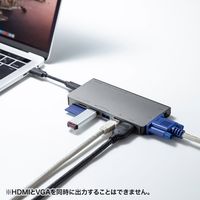 サンワサプライ USB Type-C ドッキングハブ USB-3TCH13S2 1個