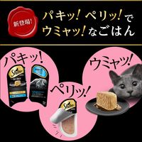 シーバ（Sheba）キャットフード しっとりテリーヌ 厳選お魚ミックス（ツナ・白身魚） 75g（37.5g×2個）12個 マースジャパン