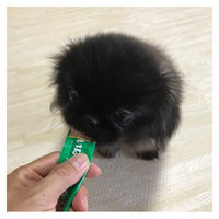 いなば ちゅーる ドッグフード 1歳までの子ドッグフード とりささみ 国産（14g×4本）6袋＜ちゅ～る チュール＞