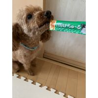 （バラエティパック）いなば ちゅーる 犬 とりささみバラエティ 総合栄養食 国産（14g×20本）1袋 ちゅ～る ドッグフード ウェット おやつ