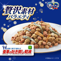 銀のスプーン 贅沢素材バラエティ 吐き戻し軽減フード 天然小魚 国産 1kg 1袋 キャットフード ドライ