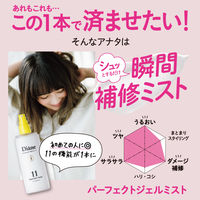 モイストダイアン パーフェクトビューティ パーフェクトミスト 100ml ストーリア