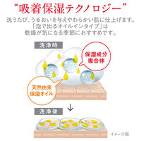 ハダカラ（hadakara）ボディソープ 泡で出てくる オイルインタイプ 詰め替え 420ml 6個 ライオン