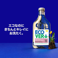 エコベール デリケートウォッシュ おしゃれ着用洗剤 衣料用洗剤 本体 750mL 1個 アメリカンディールスコーポレーション