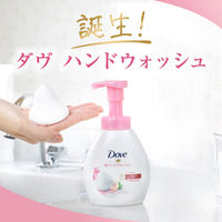 ダヴ（Dove） 泡ハンドウォッシュ ピーチ＆リリー 詰め替え 430ml 1セット（2個） ユニリーバ