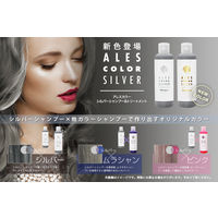 アレスカラー シルバーシャンプー 200ml シルシャン カラーケア アレスプランニング