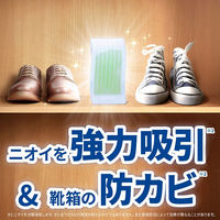 ファブリーズ 置き型 靴箱専用 ピュアクリーンの香り つけかえ用 130g 2パック（4個） 消臭剤 P&G