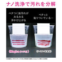 CHARMY Magica（チャーミーマジカ） 酵素プラス オレンジ 詰め替え 大型 880mL 1セット（2個） 食器用洗剤 ライオン