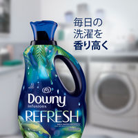 ダウニー（Downy） インフュージョン リフレッシュ（バーチウォーター＆ボタニカル）1.66L 柔軟剤 P&G