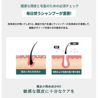 moremo モレモ スカルプシャンプー クリア＆クール ポンプ 500mL 4個 韓国コスメ 韓国シャンプー ワンダーライン
