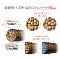 Schwarzkopf（シュワルツコフ） BCクア カラーセーブシャンプー 250ml カラーケア サロン専売品