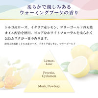 ファーファ ファインフレグランス シエル 詰め替え 500ml 1セット（2個入） 柔軟剤 NSファーファ・ジャパン