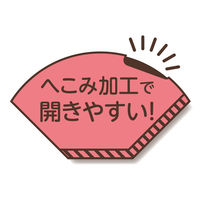 コーヒーフィルター 無漂白コーヒーフィルター101 1～2杯用 1袋（100枚入） SD-902 ストリックスデザイン