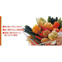 樹婦人S 薄口まな板（幅広・反り止付）ワイド 1個 市原木工所