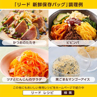 リード 冷凍も冷蔵も新鮮保存バッグ ダブルジッパー L 抗菌加工フィルム採用 14枚入 1セット（1個×2）ライオン