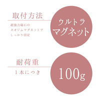 SGふきん掛け ウルトラマグネット 3本入 レック キッチン収納