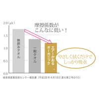 バスタオル エアーかおる今治 エクスタシー アクア 約60cm×120cm 1枚 浅野撚糸 【送料無料】