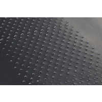 パリパリのり切り隊 お弁当作り アーネスト