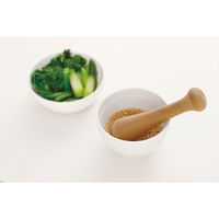 セレクト100 ミニすり鉢 すりこぎ付き 貝印 KAI DH3020