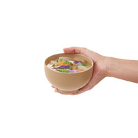 サーモス（THERMOS） まほうびん食器 お椀 400cc 薄茶 JDO-400 USC 1個