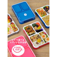 弁当箱 クリア ベリー ピンク 薄型 フードマン 600ml DSK 1段 1個 シービージャパン