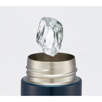 ポケットステンマグボトル ピーナッツライフスタイルデザイン 120ml 1個 スケーター 水筒 スリムボトル スヌーピー キャラクター