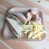 アースカラーペーパープレート スクエア L 23cm 1袋（8個入） サンナップ