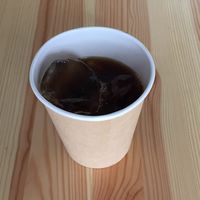 アースカラー未晒しペーパーカップ 205ml 1袋（20個入） サンナップ