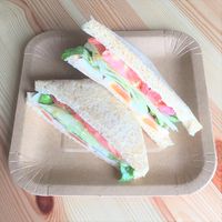 アースカラーペーパープレート スクエア M 18.5cm 1袋（10個入） サンナップ